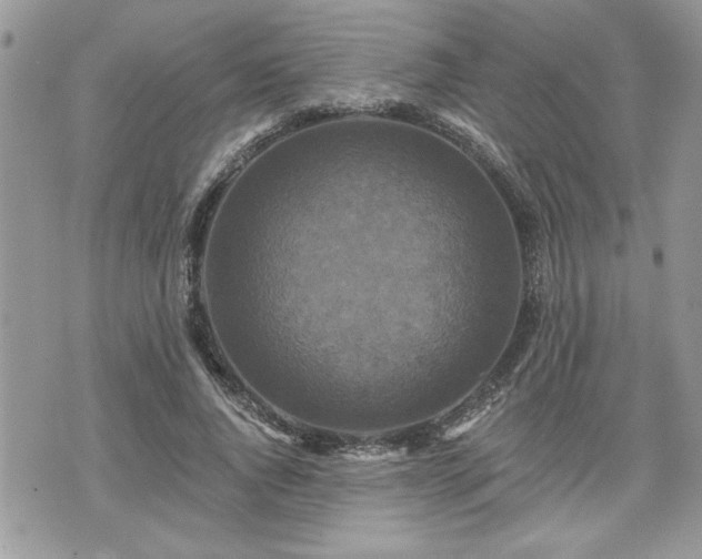 X0000070400736200606161345