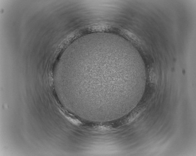 X0000070400737200606161345