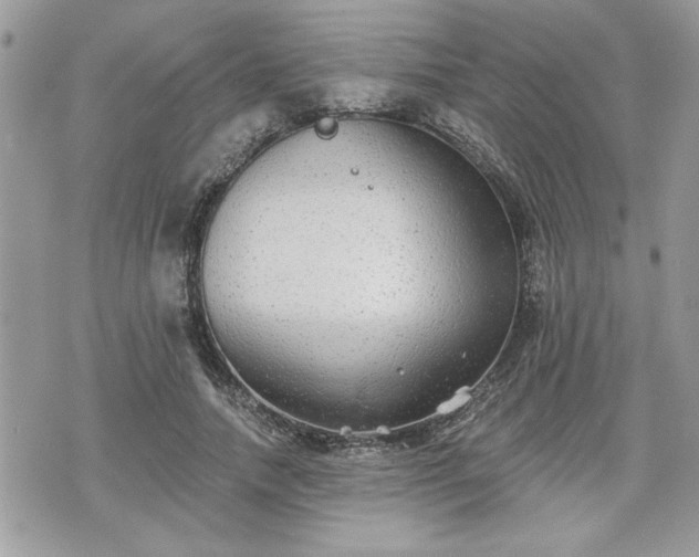 X0000070400738200606161345