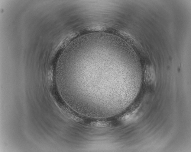 X0000070400739200606161345