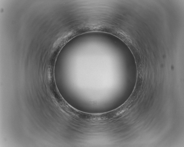 X0000070400740200606161345