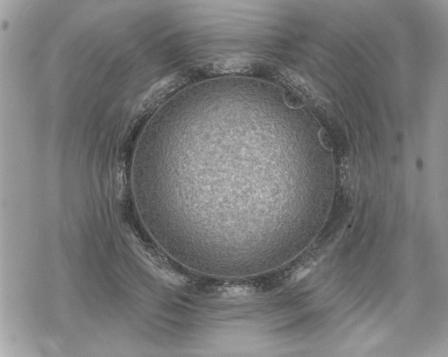 X0000070400741200606161345