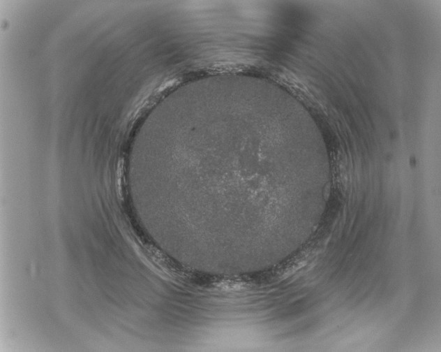 X0000070400742200606161345