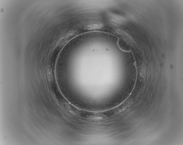 X0000070400743200606161345