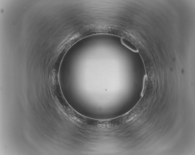 X0000070400744200606161345