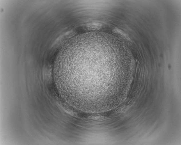 X0000070400745200606161345