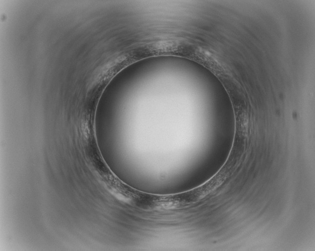 X0000070400746200606161345