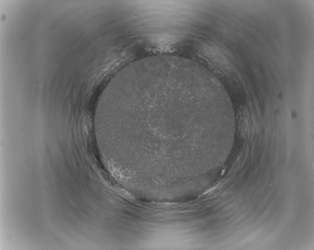 X0000070400747200606161345