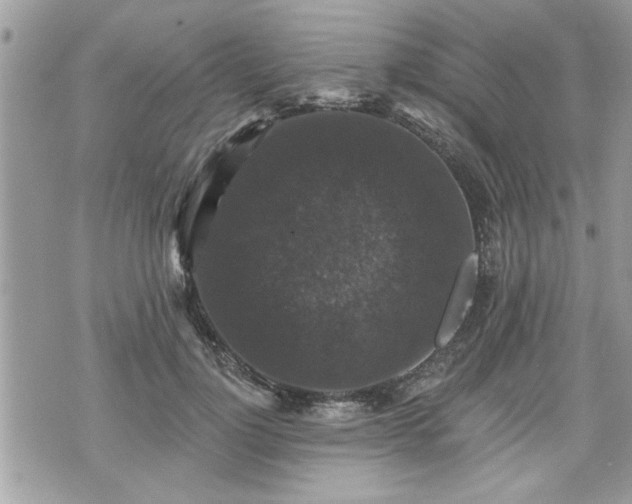 X0000070400748200606161345