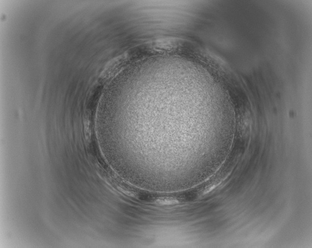 X0000070400749200606161345