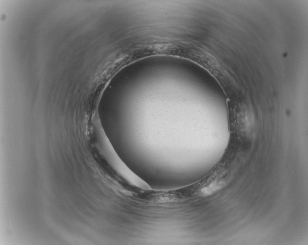 X0000070400750200606161345