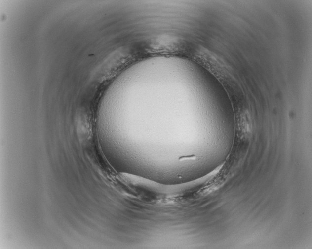 X0000070400751200606161345