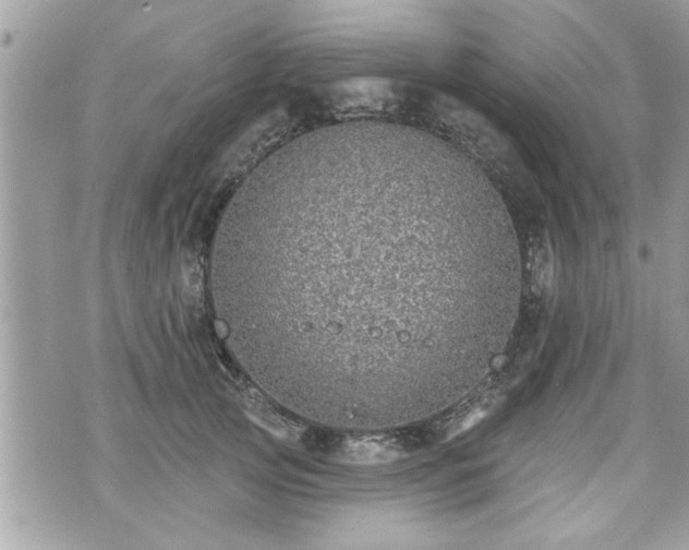 X0000070400753200606161345