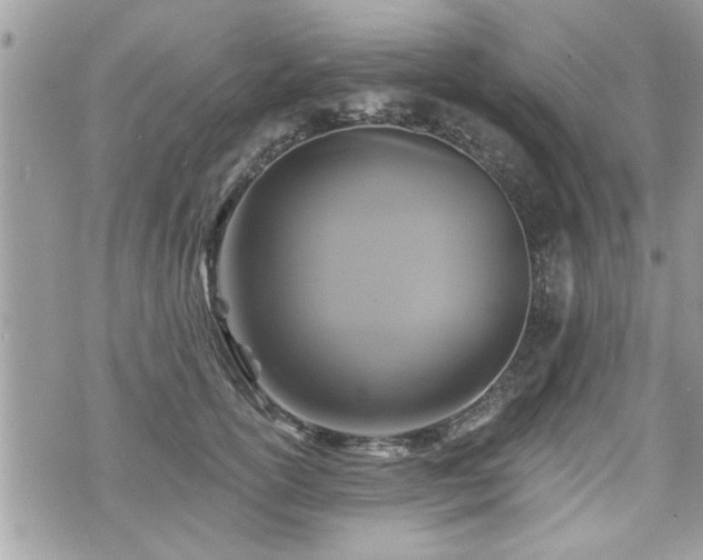 X0000070400754200606161345