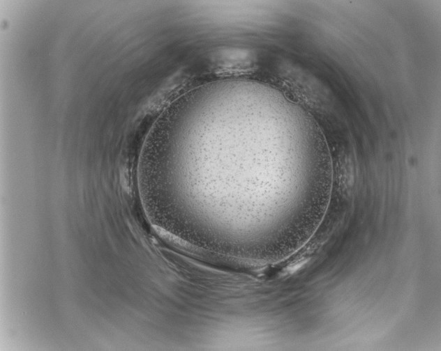 X0000070400755200606161345