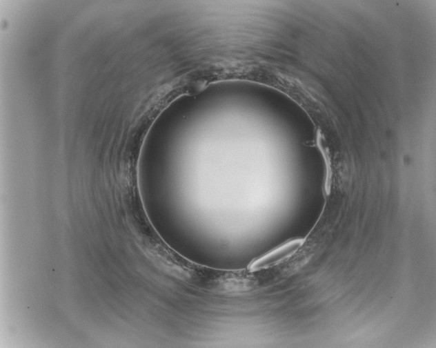 X0000070400756200606161345