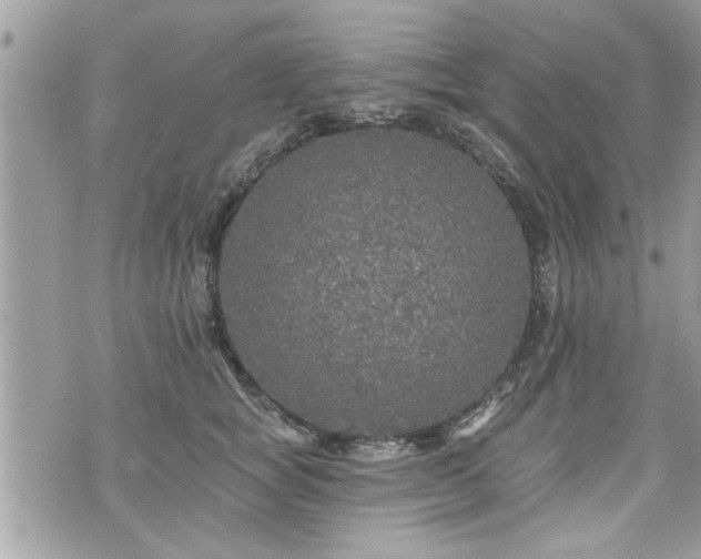 X0000070400757200606161345