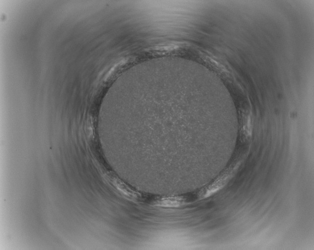 X0000070400758200606161345