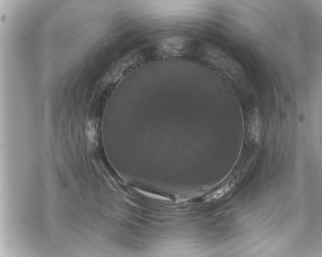 X0000070400759200606161345