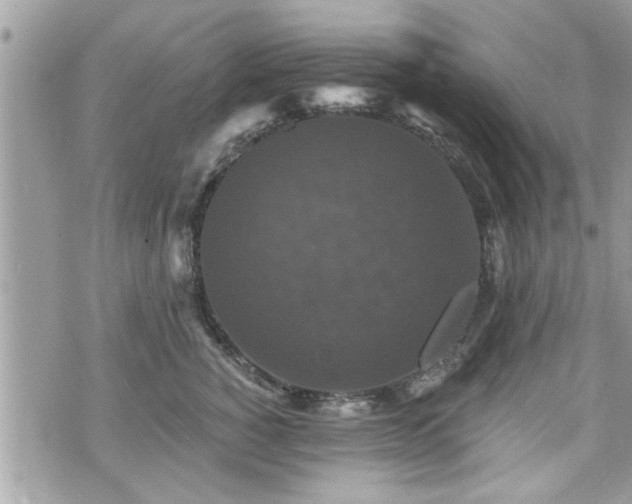 X0000070400760200606161345