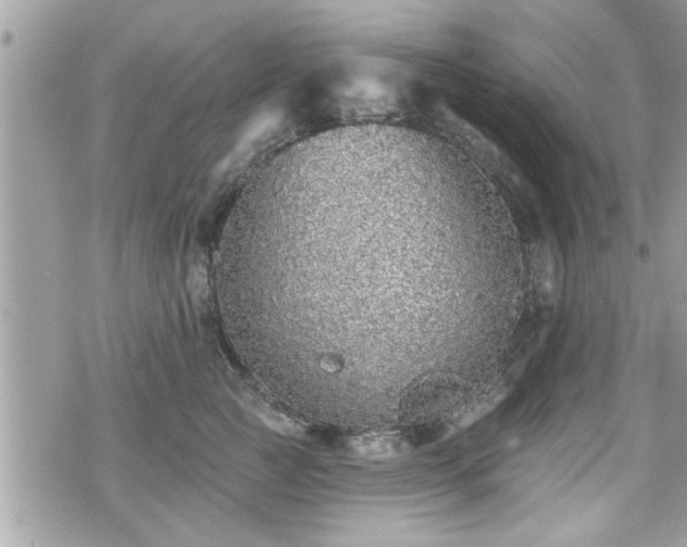 X0000070400761200606161345