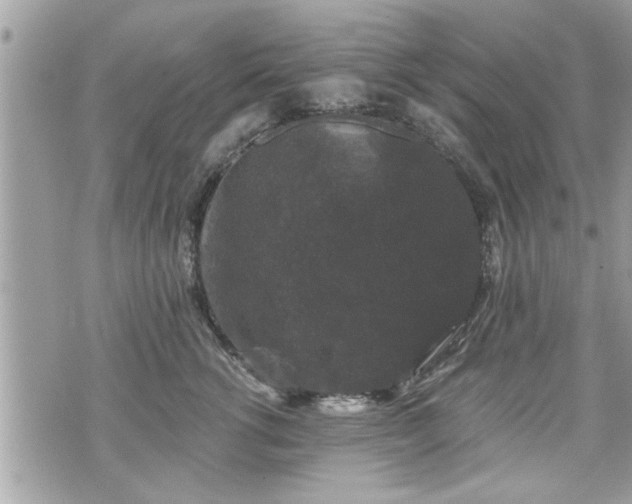 X0000070400762200606161345