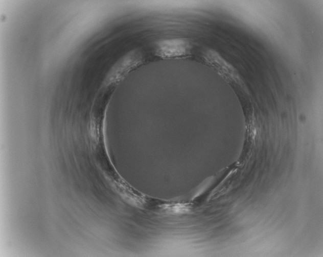 X0000070400763200606161345