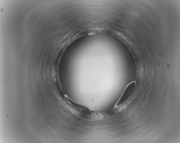 X0000070400764200606161345