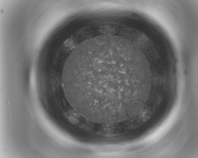 X0000070400765200606161345