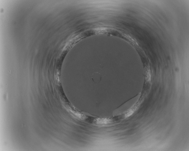 X0000070400766200606161345