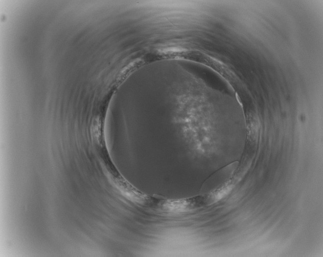 X0000070400767200606161345