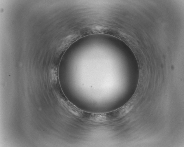 X0000070400768200606161345