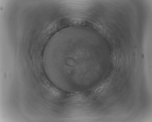 X0000070400769200606161344