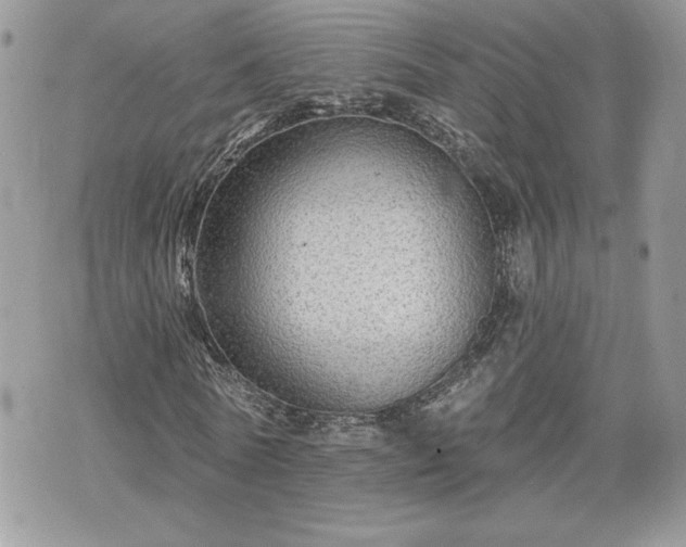 X0000070400770200606161344