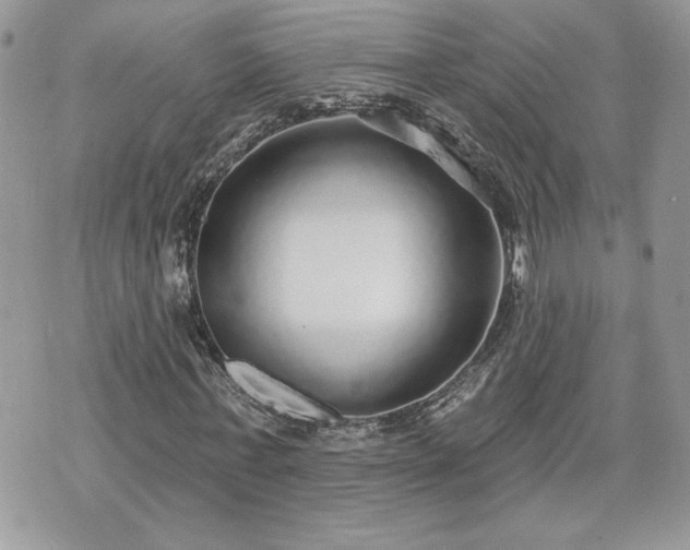 X0000070400771200606161344