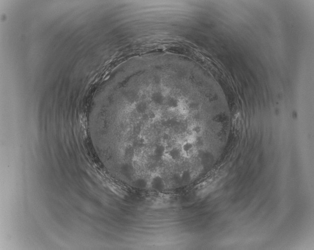 X0000070400772200606161344