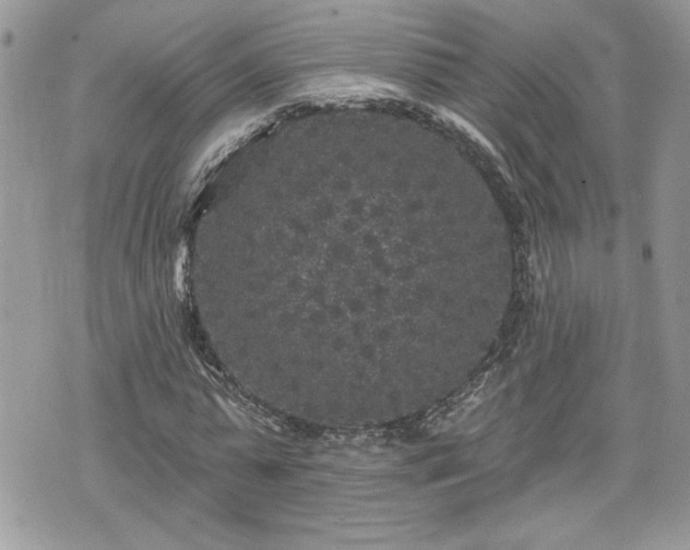 X0000070400775200606161344