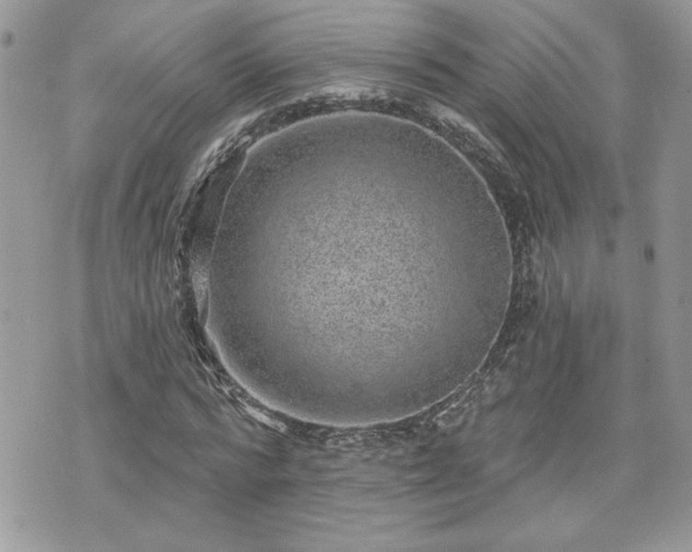 X0000070400776200606161344