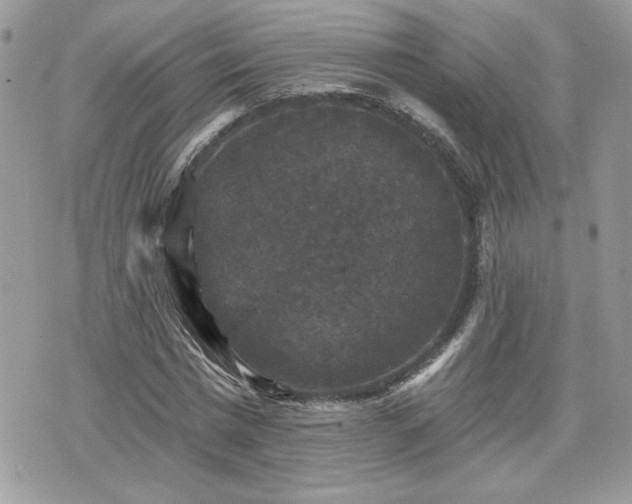 X0000070400777200606161344