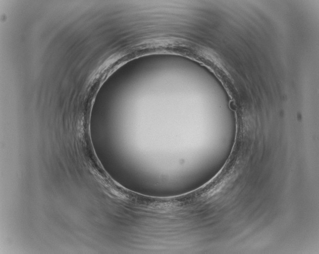 X0000070400778200606161344