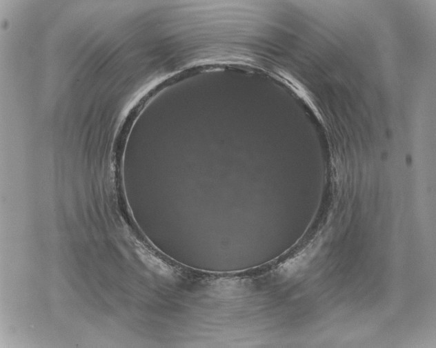 X0000070400779200606161344