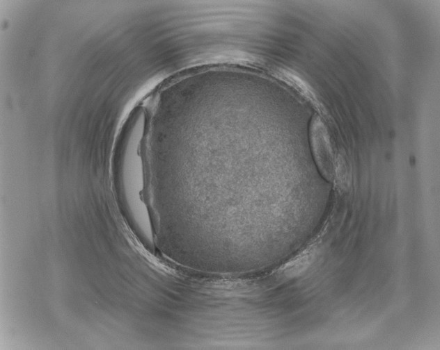 X0000070400780200606161344