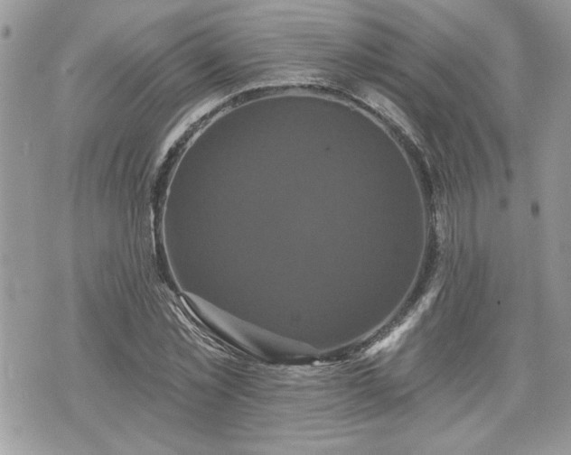 X0000070400781200606161344