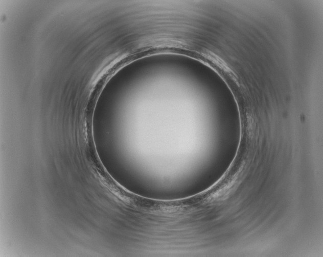 X0000070400782200606161344