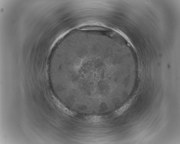 X0000070400783200606161344