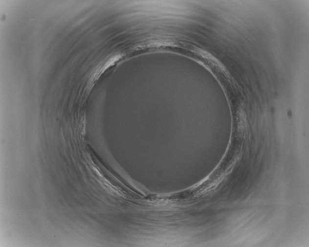 X0000070400785200606161344