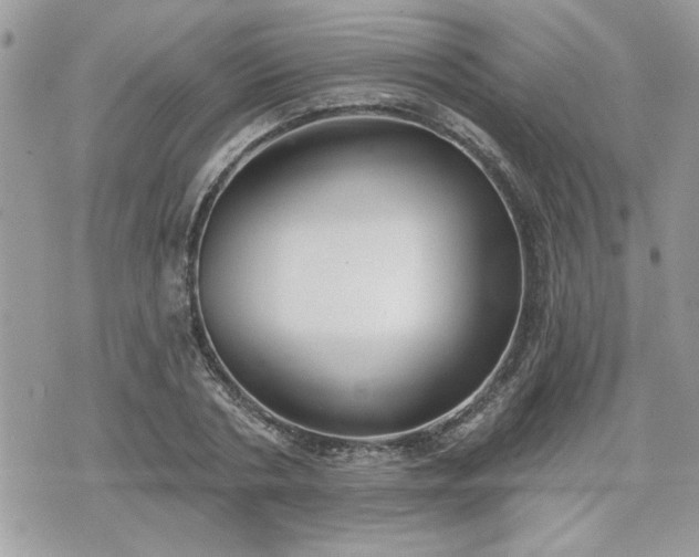 X0000070400786200606161344