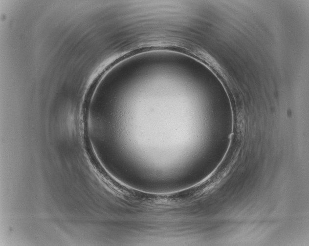 X0000070400787200606161344