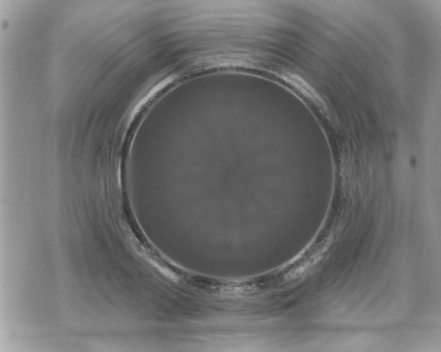 X0000070400790200606161344