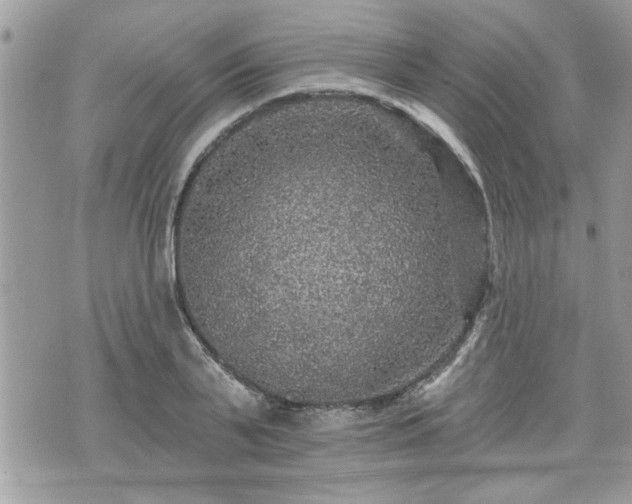 X0000070400791200606161344